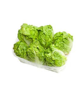 COGOLLO CORAZÓN "EL MOZUELO"