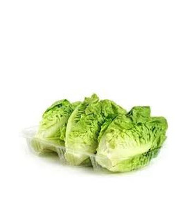 COGOLLO "EL MOZUELO"