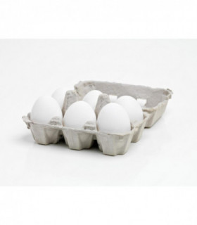 GUINDILLA SECA ENTERA