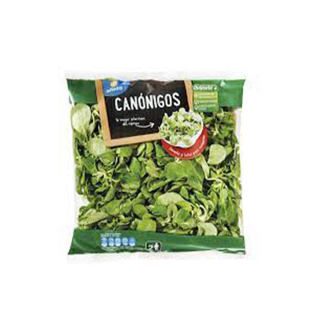 CANÓNIGO "ALTEZA"