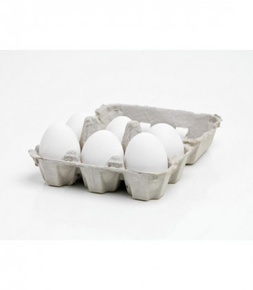 HUEVOS ESTUCHE DOCENA XL