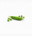 GUISANTES