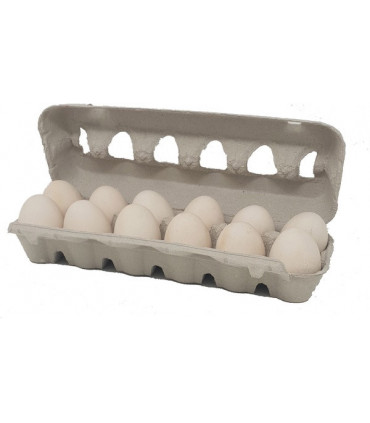 HUEVOS CAMPEROS ESTUCHE 1/2 DOCENA L