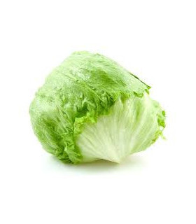 LECHUGA ICEBERG "EL DULZE"