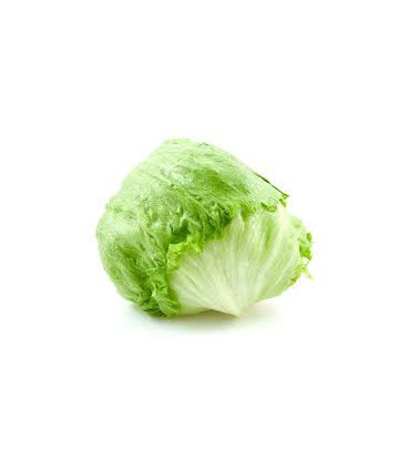 LECHUGA ICEBERG "EL DULZE"