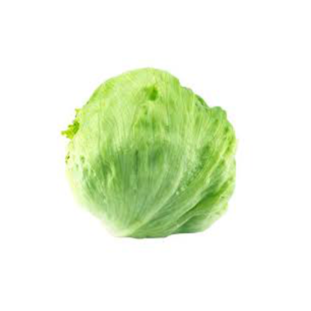 LECHUGA ICEBERG "ALTEZA"