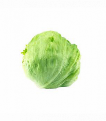 LECHUGA ICEBERG "ALTEZA"