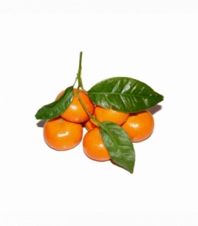 MANDARINA CHUPI ORONULES