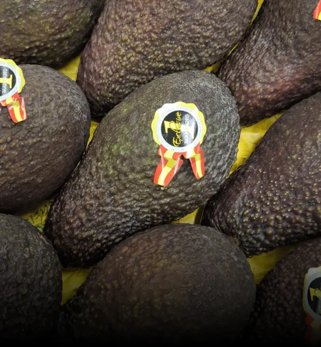 Xbox one with contoller