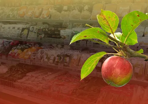 Manzana en Frutas Valverde